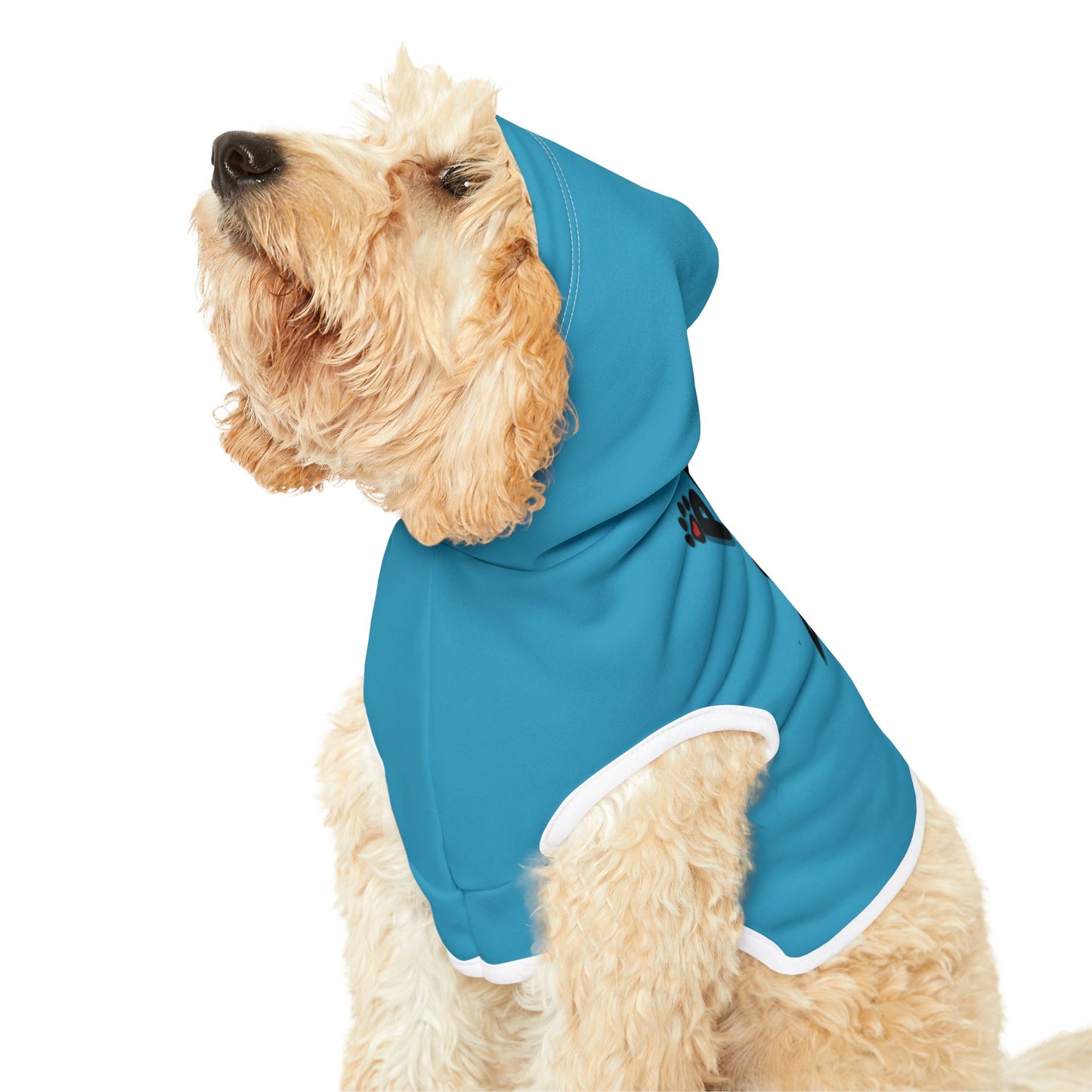 Paws2Love Turquoise Pet Hoodie