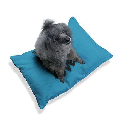 Paws2Love Turquoise Pet Bed