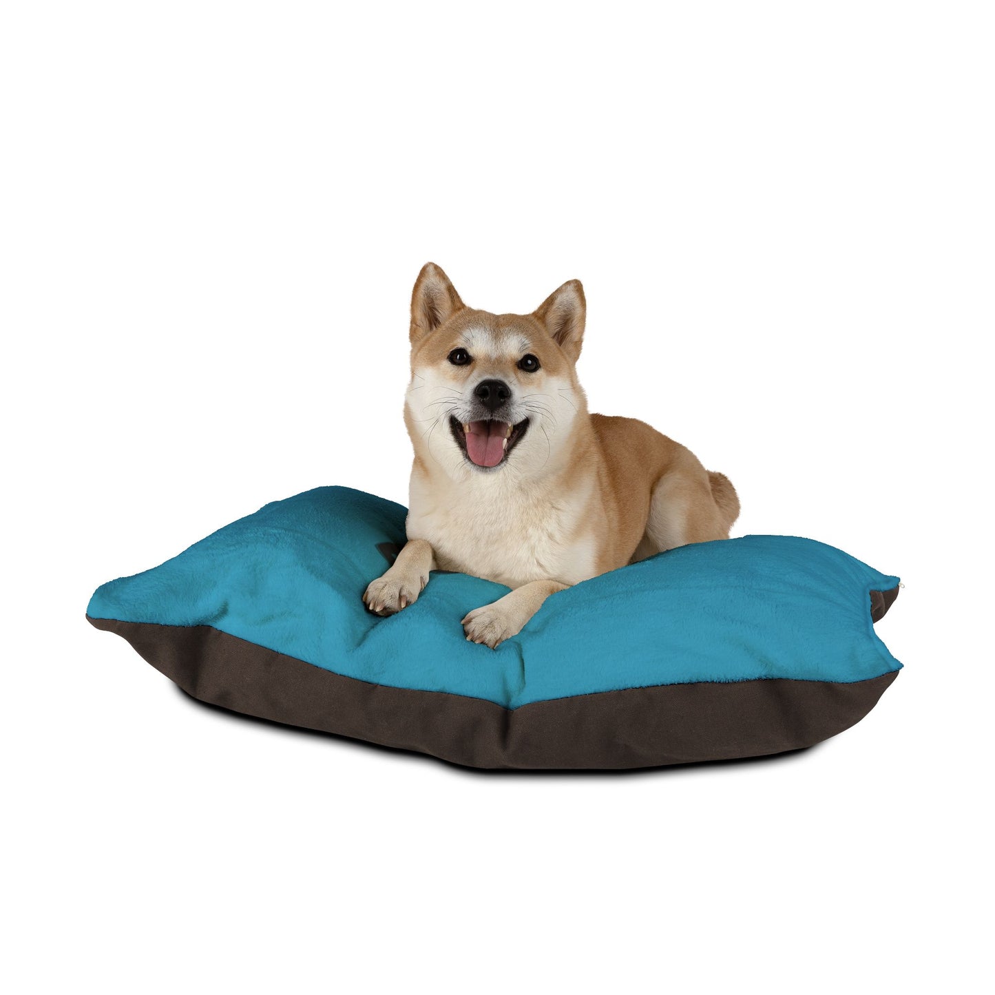 Paws2Love Turquoise Pet Bed
